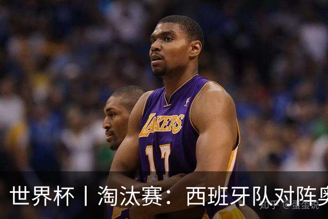 世界杯丨淘汰赛：西班牙队对阵奥地利队