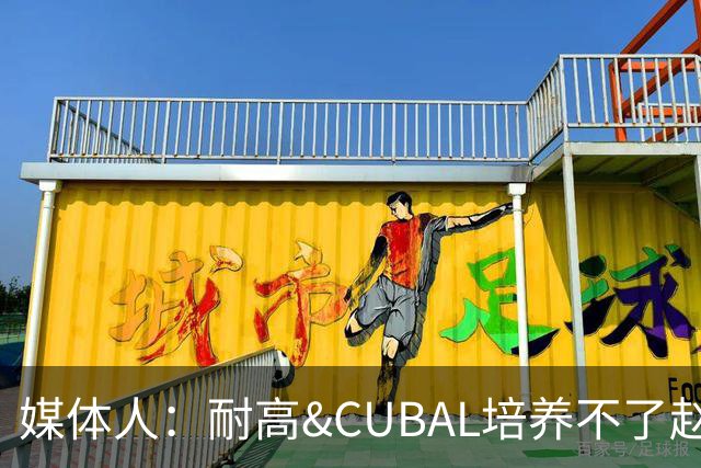 媒体人：耐高&CUBAL培养不了赵博新&张宇辰这些好苗子 赶紧送出国