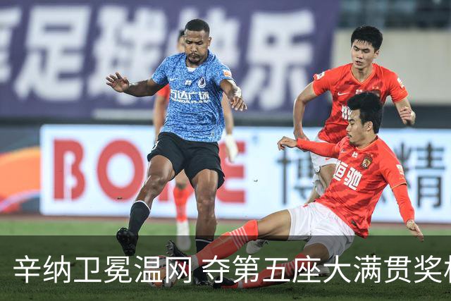 辛纳卫冕温网 夺第五座大满贯奖杯