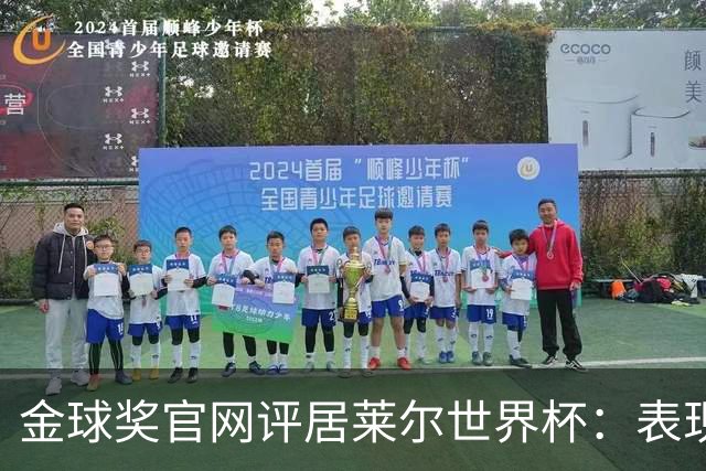 金球奖官网评居莱尔世界杯：表现足够好，可惜整体不佳